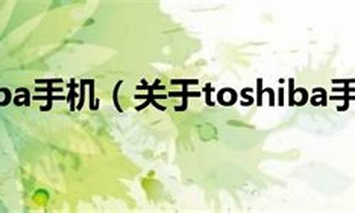 toshiba手机扩展卡初始密码